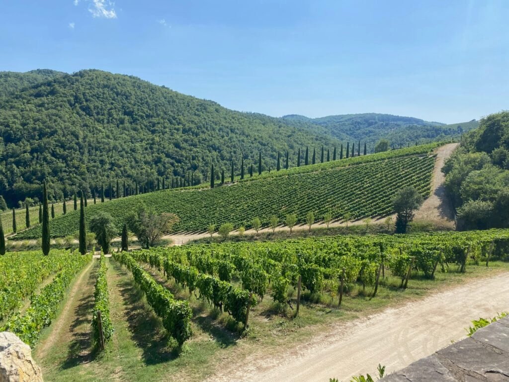 5e61f86b-19da-4dc2-9ab8-5ec64c3fe182 (1)