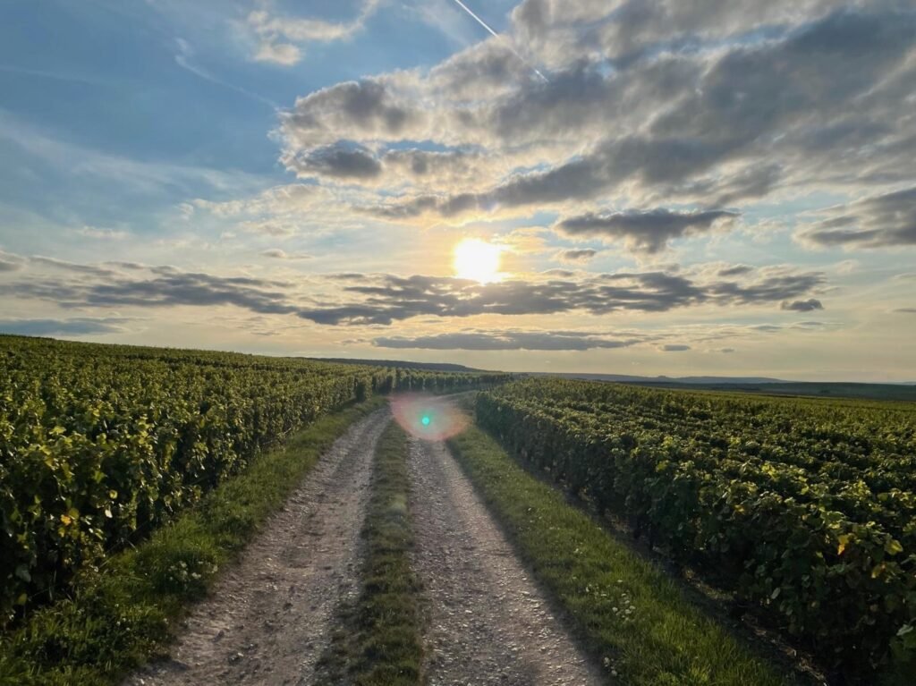 6a1b892d-d194-470b-b111-129b9f6165d8