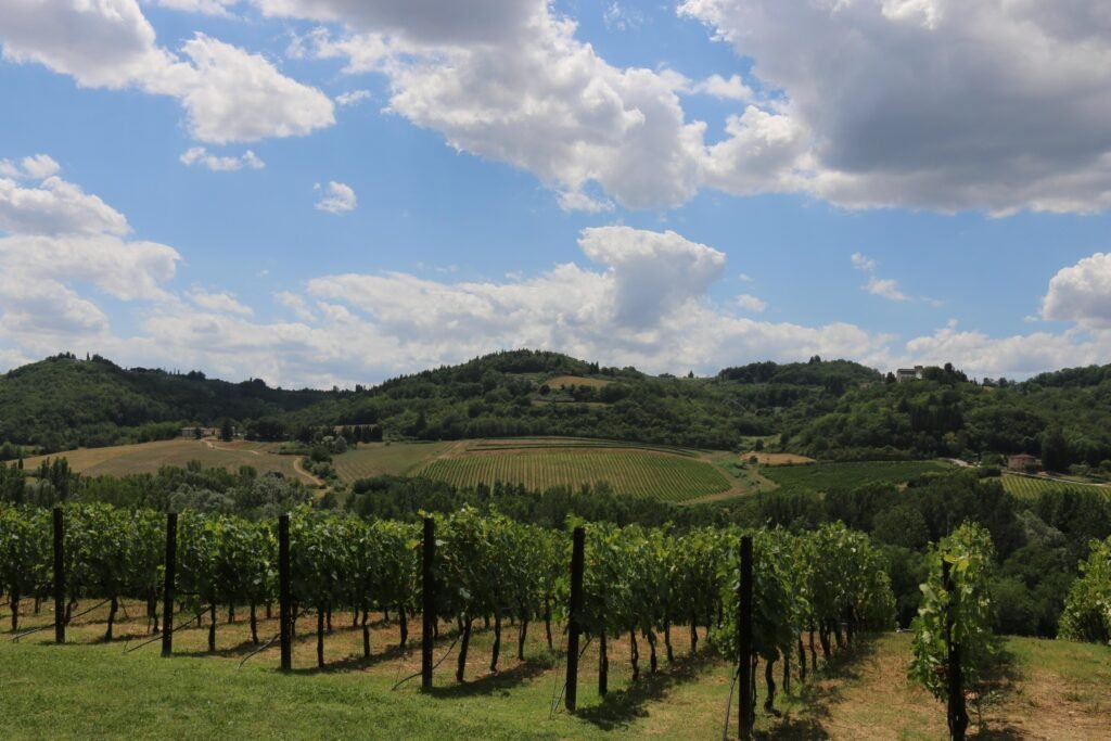 6f203bbe-4464-4dec-ac15-a30dccee3482