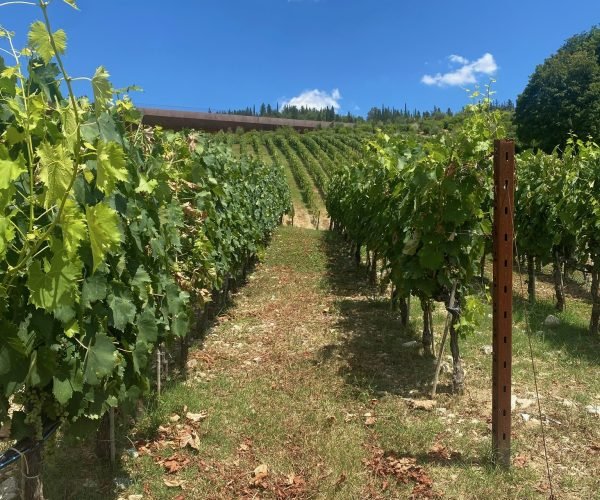 251f774b-a095-4535-9e93-b689efbb60d1