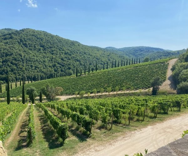 5e61f86b-19da-4dc2-9ab8-5ec64c3fe182