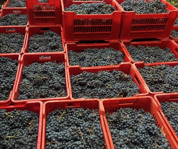 6662d355-ee78-49fc-bae4-3b997d3e0fd0