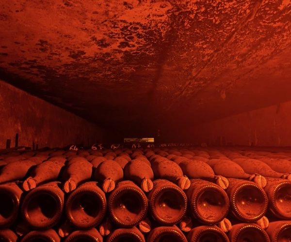 67cd976f-40ec-4462-8da2-7e17429a2cd3