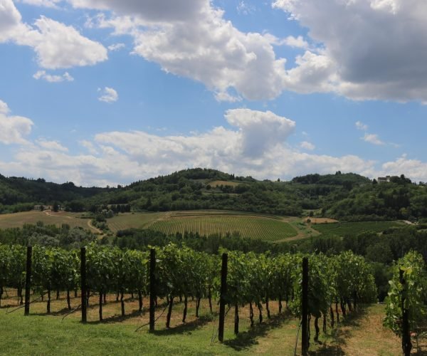 6f203bbe-4464-4dec-ac15-a30dccee3482