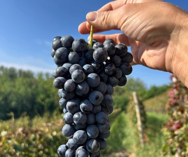 761f3343-5636-433a-bcbc-84b2dbce2f97