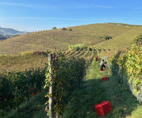 7928e86a-4d68-4f6b-9691-00cf386fc90e